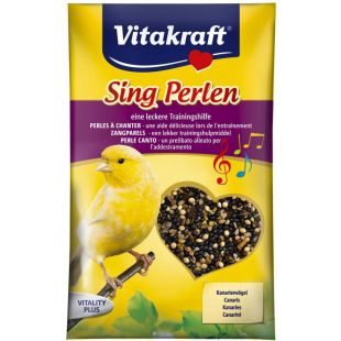 VITAKRAFT Sing Song vitaminiseeritud seemned kanaarilindudele 20g