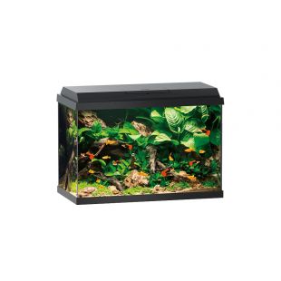 JUWEL Akvaarium Primo 70 musta kaanega, 70 l, 70 l, 61 × 31 × 44 cm