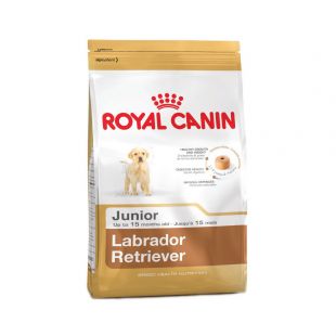 ROYAL CANIN сухой корм для молодых собак породы лабрадор-ретривер 3кг