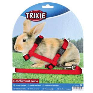 TRIXIE Прогулочный комплект для кролика со шлейками