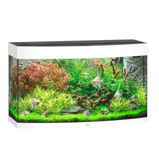 JUWEL LED Vision 180 akvaarium valge, 180 l, 92 x 41 x 55 cm