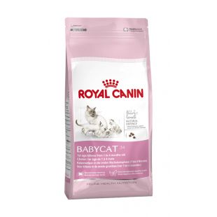 ROYAL CANIN kuivtoit tiinetele ja imetavatele kassidele 400 g