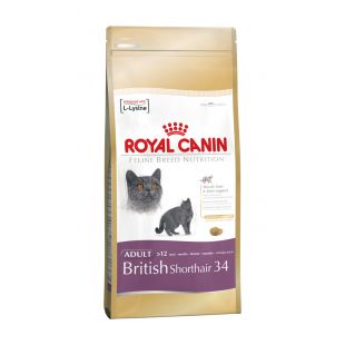 ROYAL CANIN kuivtoit briti lühikarvalist tõugu täiskasvanud kassidele 2 kg