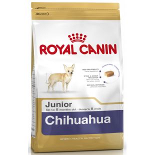 ROYAL CANIN kuivtoit chihuahua tõugu noortele koertele 500 g