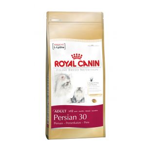 ROYAL CANIN kuivtoit pärsia tõugu täiskasvanud kassidele 2 kg