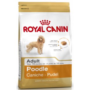 ROYAL CANIN сухой корм для взрослых собак породы пудель 1.5 кг