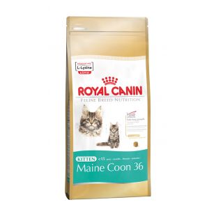 ROYAL CANIN сухой корм для котят породы Мейн-кун  400 г