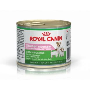 ROYAL CANIN Starter mousse, konservsööt täiskasvanud koertele 195 g x 12