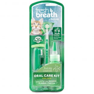 FRESH BREATH Hammaste hoolduskomplekt kassidele 1 tk