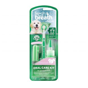 FRESH BREATH набор для поддержания гигиены полости рта зеленый