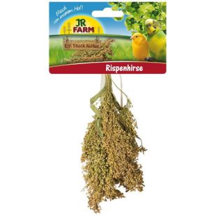 JR FARM Пищевая добавка для декоративных птиц – метелочка из проса 100 г