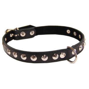 HIPPIE PET Ошейник с металлическими украшениями 2.5x55 cм, черный