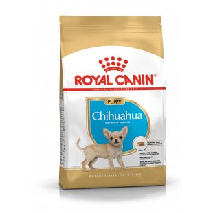 ROYAL CANIN kuivtoit chihuahua tõugu noortele koertele 500 g