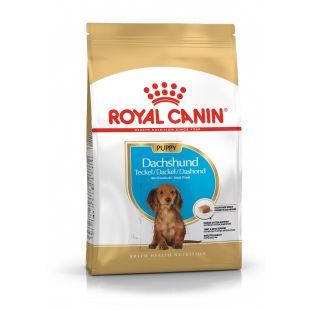 ROYAL CANIN kuivtoit taksi tõugu noortele koertele 1.5 kg