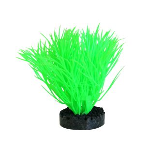 SYDEKO Akvaariumi taim, 11 cm