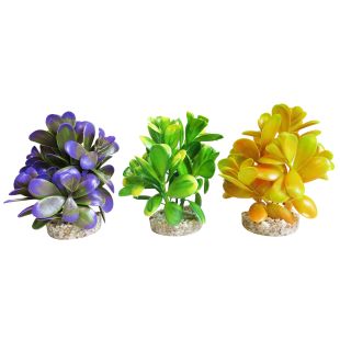 SYDEKO akvaariumi taim 14 cm