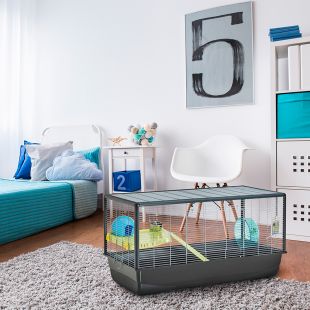 SAVIC Hamster Plaza hamstripuur hõbe, 100 x 50 x 50 cm