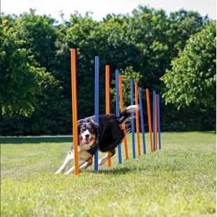 TRIXIE AGILITY treenimisvahend 115 x 3, 12 tk