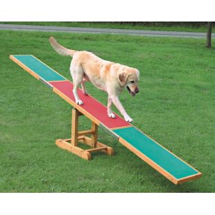 TRIXIE Agility treenimisvahend 300 x 54 x 34