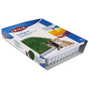 TRIXIE Bio Cat Grass Muru naturaalne muru kassidele 100 g
