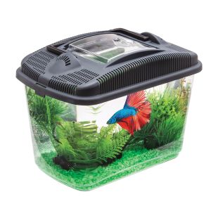 AQUAEL Akvaariumikomplekt Betta Kit 3 l, 41 × 25 × 30 cm