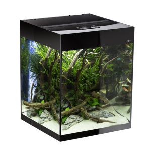 AQUAEL Ristkülikukujuline akvaarium GlOOSY SET CUBE must, 50 × 50 × 63 cm, 132 l