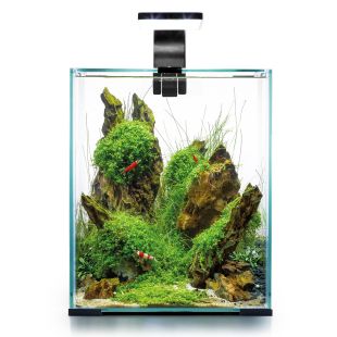 AQUAEL Shrimp Set D&N аквариумный набор для содержания креветок 20 Л, черный