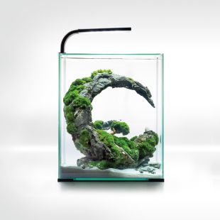AQUAEL Shrimp Set Smart D&N krevettide akvaarium 30 l, must, koos varustusega