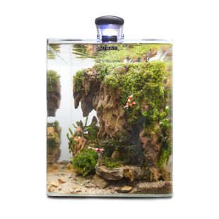 AQUAEL Akvaariumi komplekt Optibent 25x25x30 cm, must, 19 l