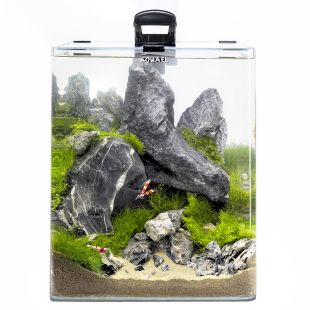AQUAEL Akvaariumi komplekt Optibent 29x29x35 cm, must, 29L