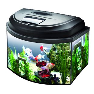 AQUAEL AQUA4KIDS 40/O D&N akvaarium komplekt 20 l  