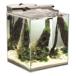 AQUAEL FISH&SHRIMP SET DUO D&N akvaariumikomplekt kaladele ja krevettidele 35 l, valge