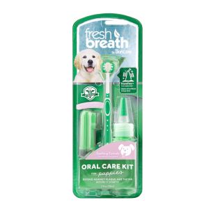 FRESH BREATH Hammaste hoolduskomplekt noortele koertele 1 tk