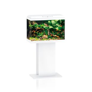 JUWEL Akvaarium Primo 70 valge, 70 l, 61 x 31 x 44 cm