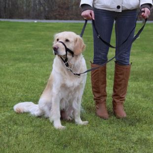 TRIXIE Suukorv Top Trainer koertele 