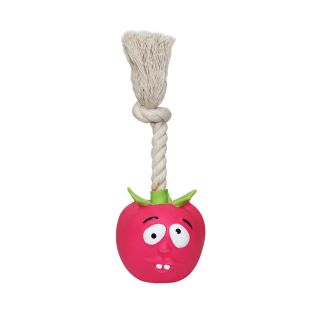 HIPPIE PET Игрушка для собак ПОМИДОР с веревочкой, латексная, красная, 18,5 см