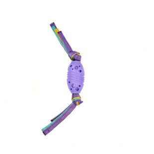 MISOKO&CO Mänguasi koertele, ragbipall, lilla, 30cm