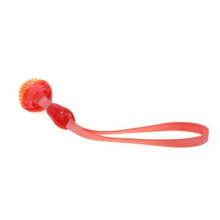 MISOKO&CO Игрушка для собак мячик с пищалкой, оранжевый