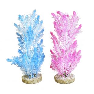 SYDEKO Растение для аквариума Ice Color Plant, 28 см