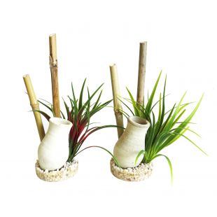 SYDEKO Akvariumų dekoracija 22 cm