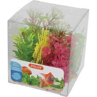 ZOLUX Растение для аквариума Box Mixed Plants X6, 9 см