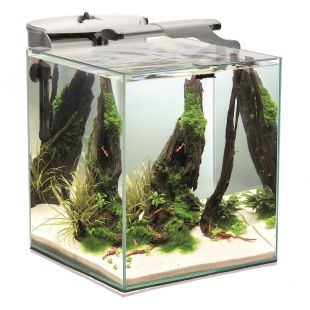 AQUAEL Akvaarium Shrimp Set DUO valge, 49 l, 35 × 35 × 40 cm