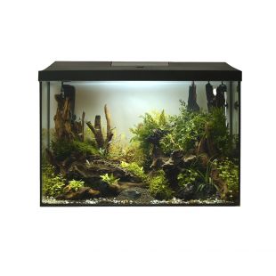 AQUAEL LEDDY XL Day & Night, akvaariumikomplekt must, 35 l, 41 × 25 × 35 cm