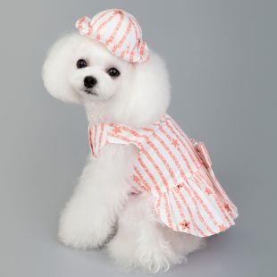 PAW COUTURE платье для собак 