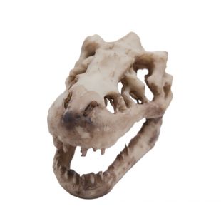 HONGQIANG Akvaariumikaunistus 8x5 cm