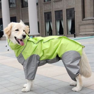 PAW COUTURE koerte kombinesoon-vihmamantel 