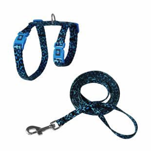 DOCO LOCO комплект для кошек, шлейки и поводок синий