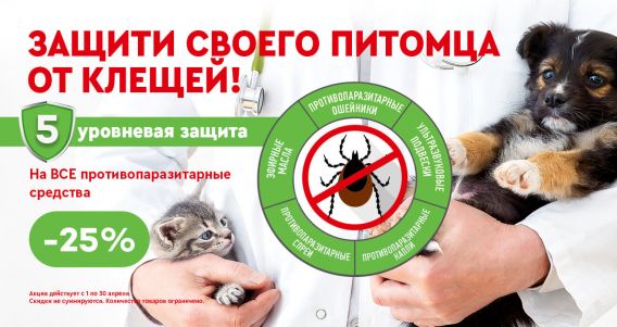 Товары для кошек в интернет зоомагазине | KИКА