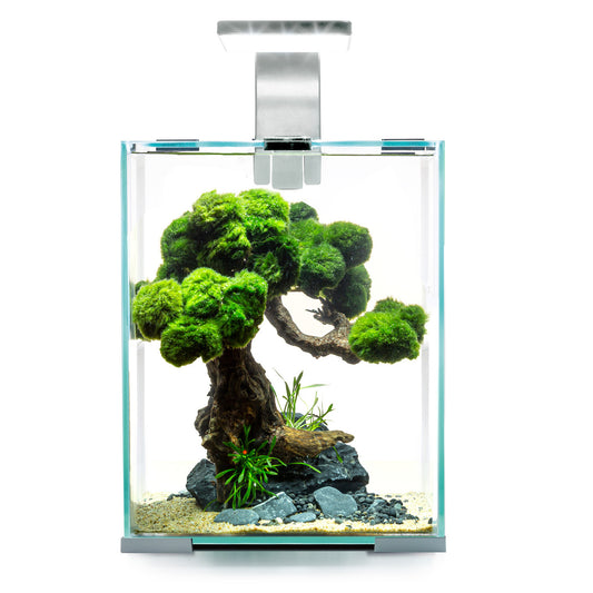 Aquael Shrimp Set D&N аквариумный набор для содержания креветок
