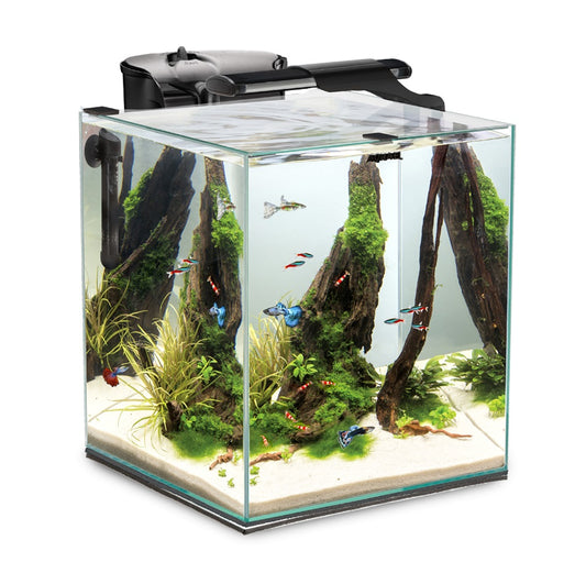Aquael FISH&SHRIMP SET DUO D&N 2.0 аквариумный набор для содержания декоративных рыбок и креветок